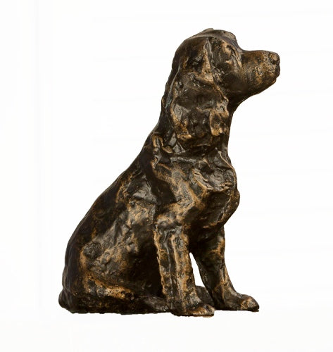 BRONZED SETTER