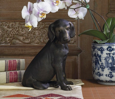Bronzed Iron Labrador Retriever Pup