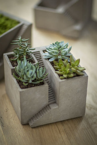 Cement Architectural Planter with 3 Basins