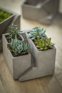 Cement Architectural Planter with 3 Basins