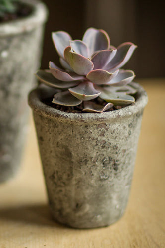 CONCRETE CONE POT -L 4.75 X 3 X 5.25